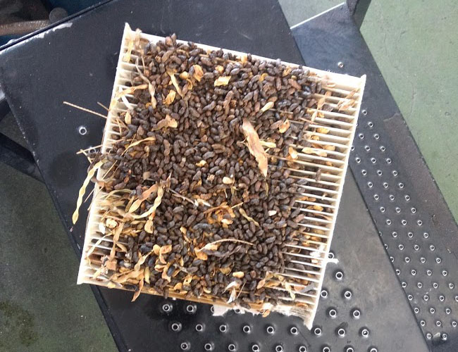 Do I really need to change my vehicles cabin air filter.